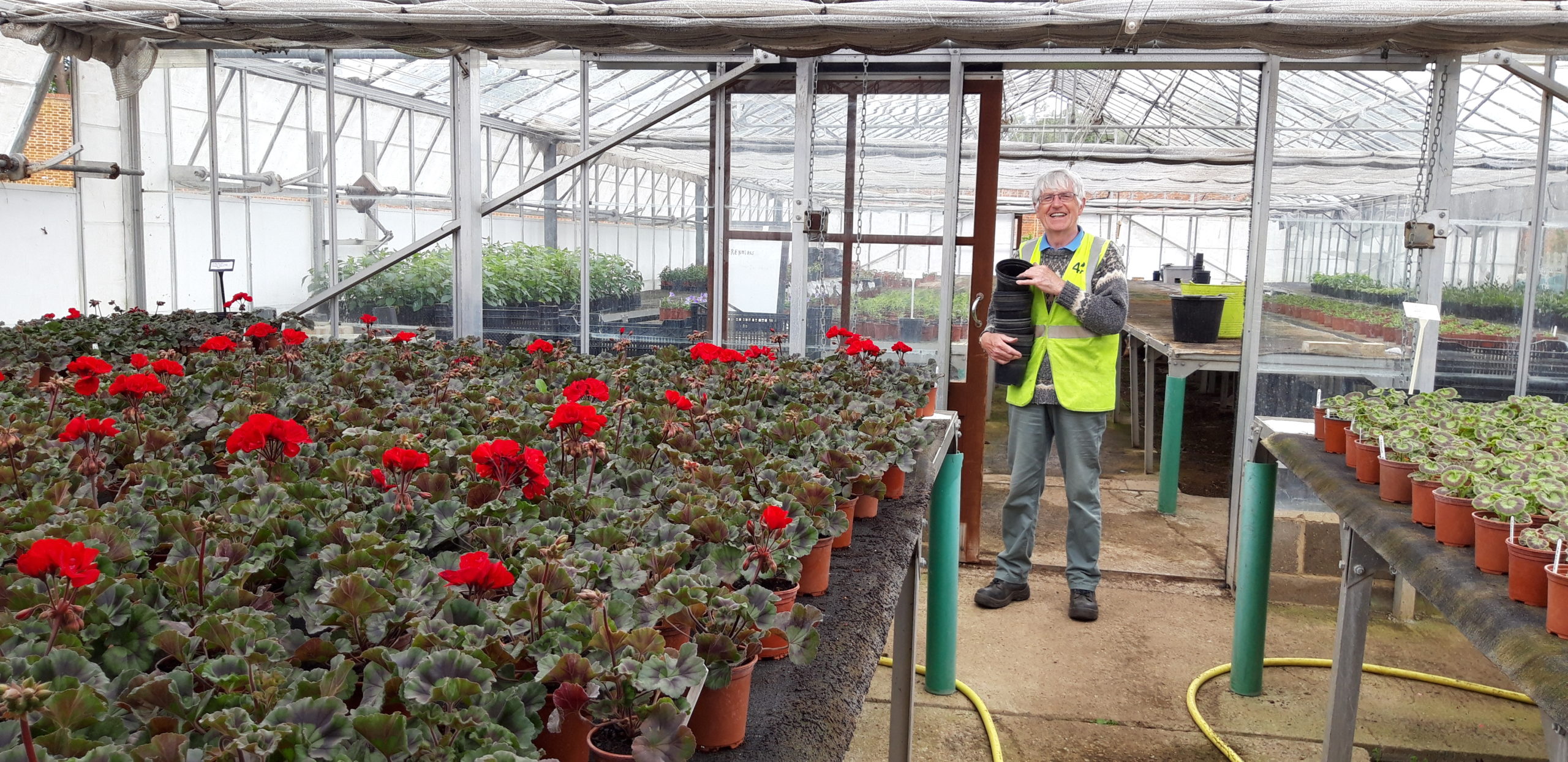 An ActivLives volunteer stands in the green house at Chantry Walled Garden