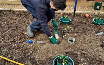 National Gardening Week at the People’s Community Garden