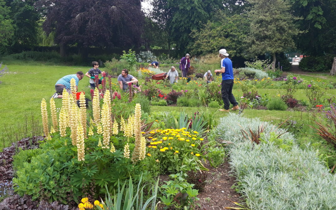 A group of volunteers at the Belle Vue Park community garden in Sudbury stand in front of a flower bed and prune the flowers.