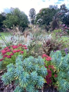 A photo of some shrubs and flowers on Sudbury Belle Vue Park