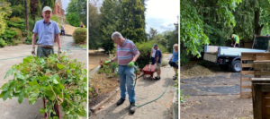 3 images of the Belle Vue Park gardens Sudbury in one long gallery, image 1 is of a gardener standing behind a wheelbarrow which is full of green plants, image 2 is of a group of 3 gardeners standing by a flowerbed and using a hose to water the flowers, image 3 is of a truck with a mans standing on the back of the truck shoveling mulch under a tree.