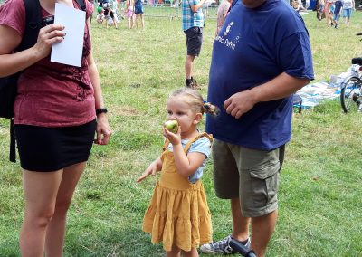 A photo of a little girl oin a yellow dress eating an apple at the ballingdon fair.