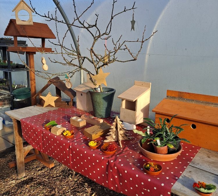 A table which has all of the bird boxes and wooden Christmas trees available from the festive market at the cress pavilion.