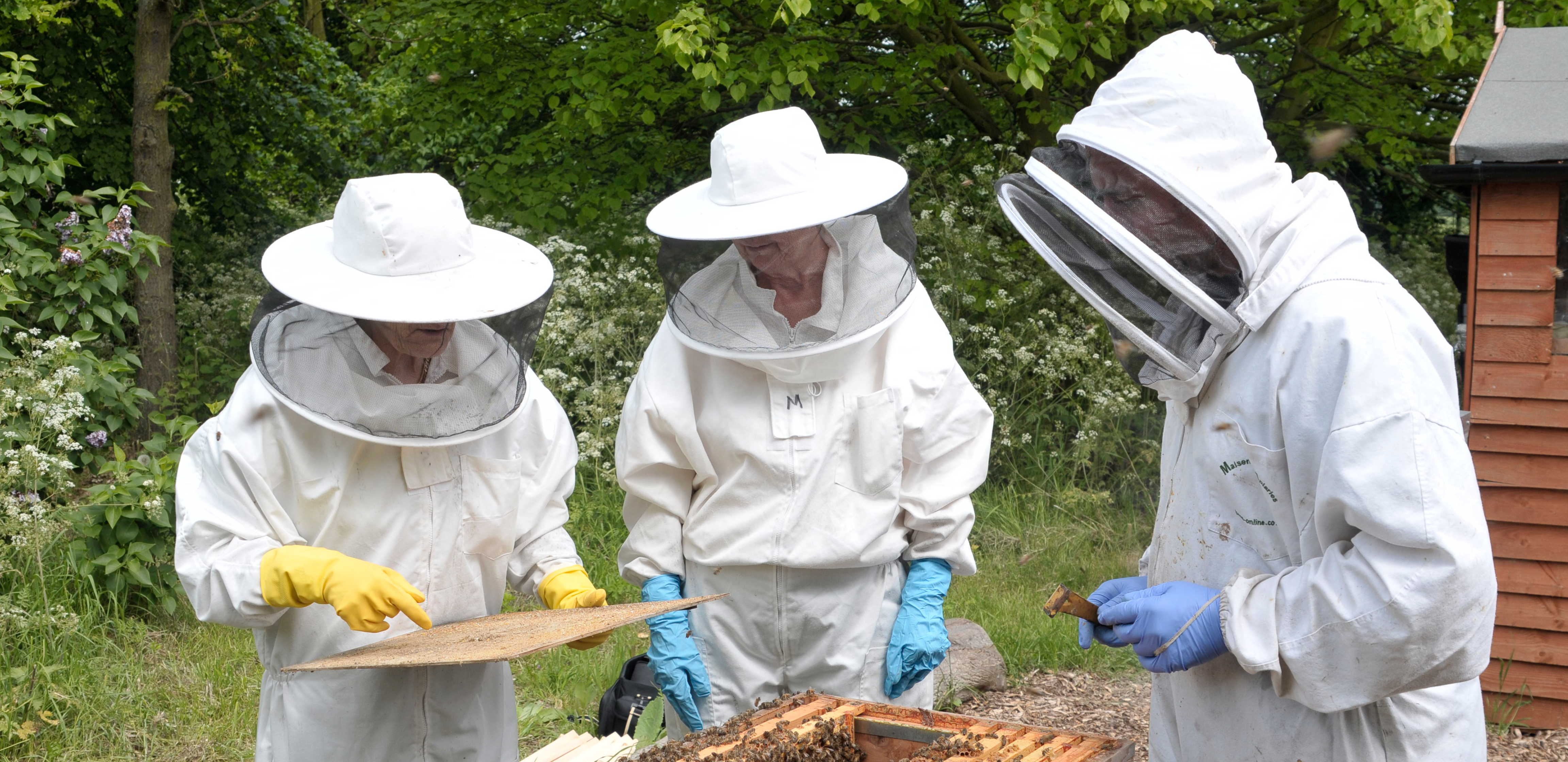 3 people are in bee keeper outfits and inspect the bee hives