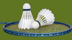 2 shuttlecocks rest on a blue badminton racket