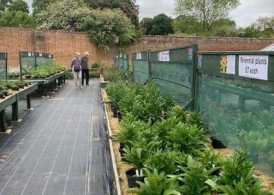 A row of green plants can be seen on the right of the image and towards the back of the image 2 people can be seen walking down the roiw admiring the plants.