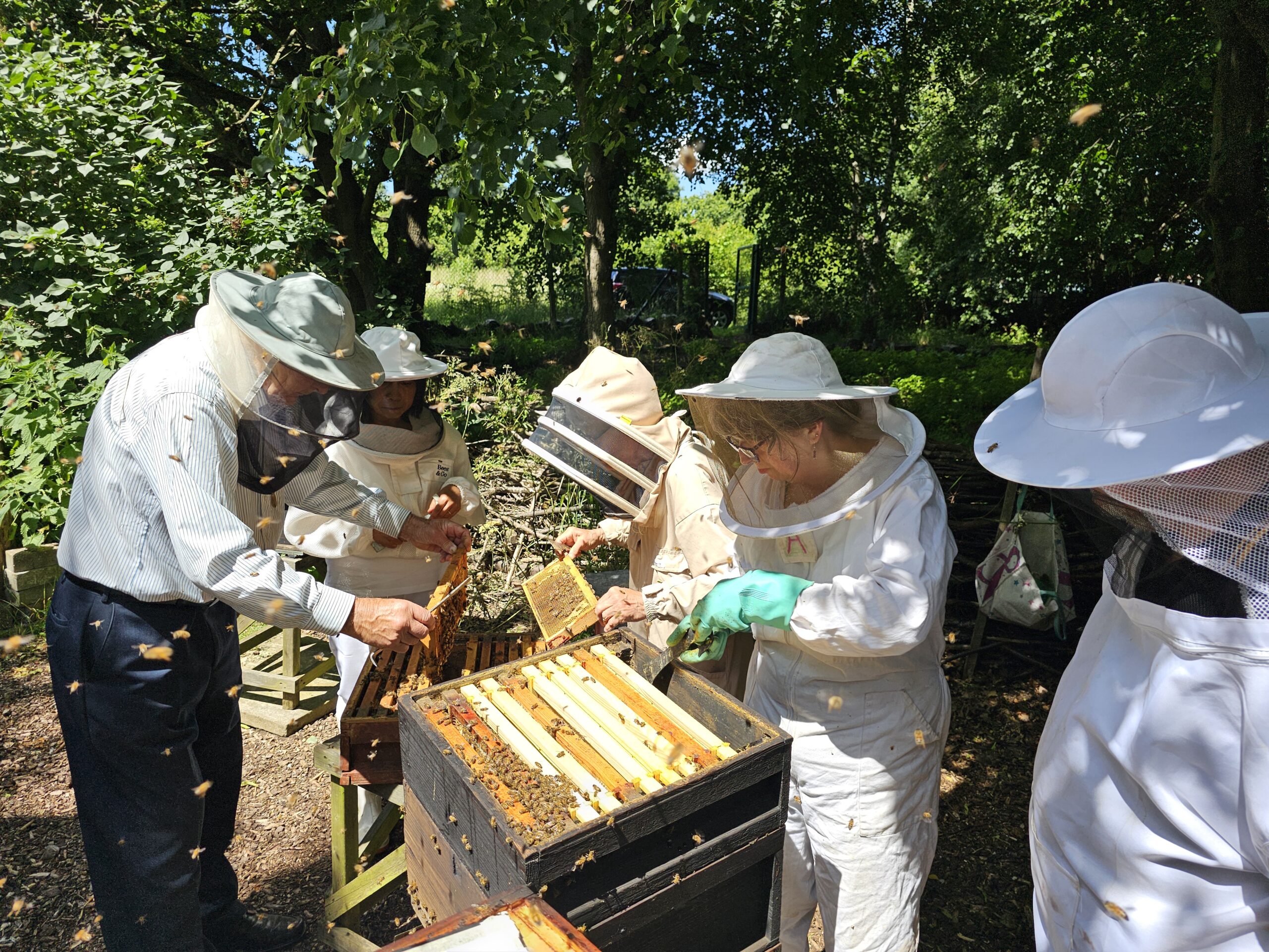 ActivHives (Beekeeping)