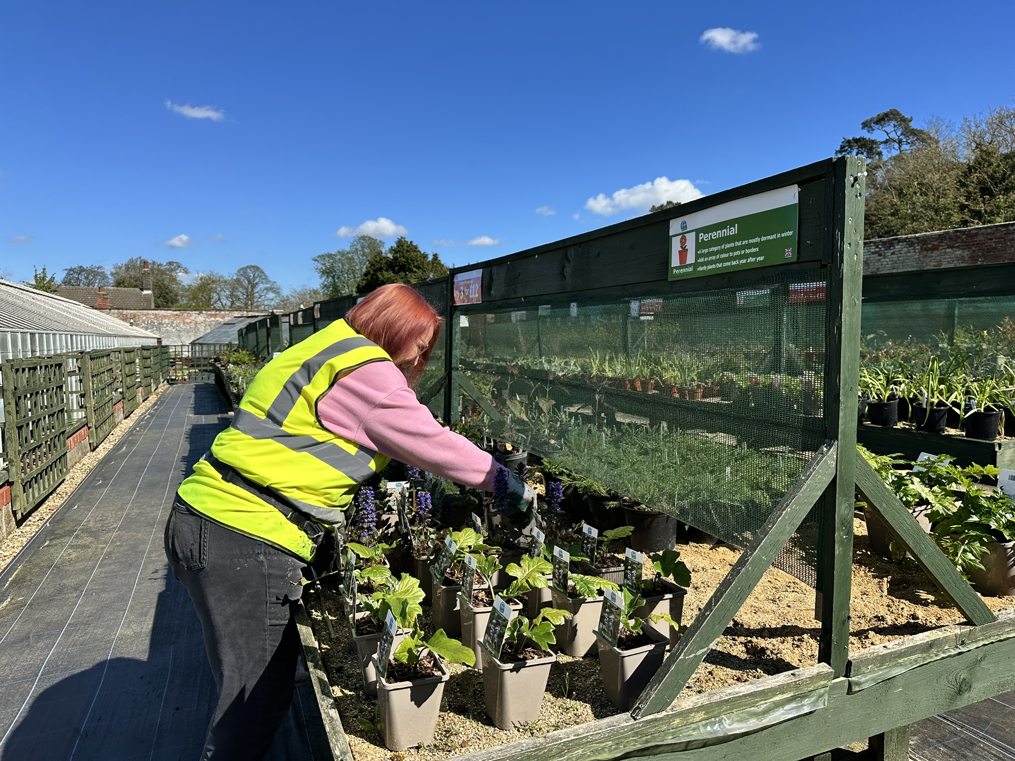 Volunteer at Chantry Walled Garden