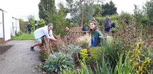 A group of volunteers doing some gardening