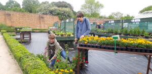 Visitors at the Chantry Walled Garden looking at some plants